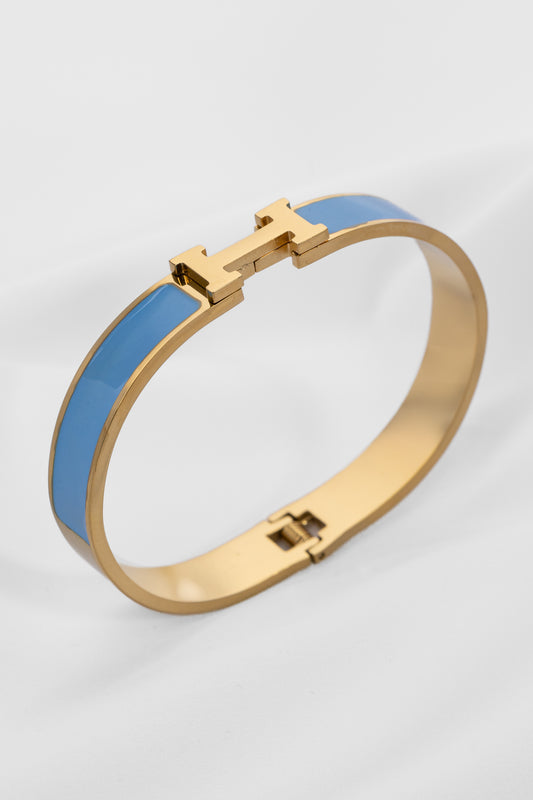 Pulsera Rígida Azul Stainless Steel HM12