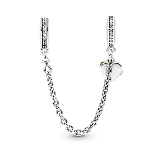 Seguro Corazón de la familia CH60